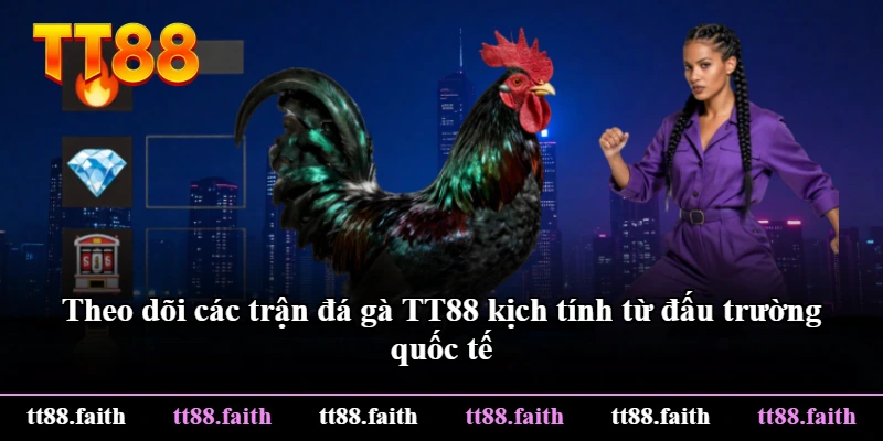 Theo dõi các trận đá gà TT88 kịch tính từ đấu trường quốc tế Theo dõi các trận đá gà TT88 kịch tính từ đấu trường quốc tế